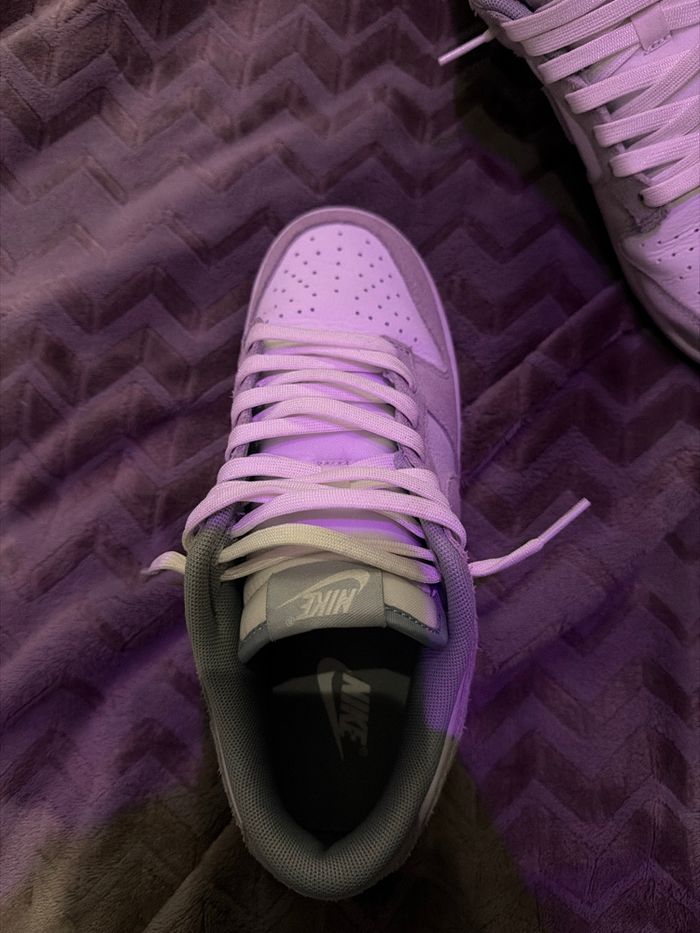 Dunk édition limitée - photo numéro 3