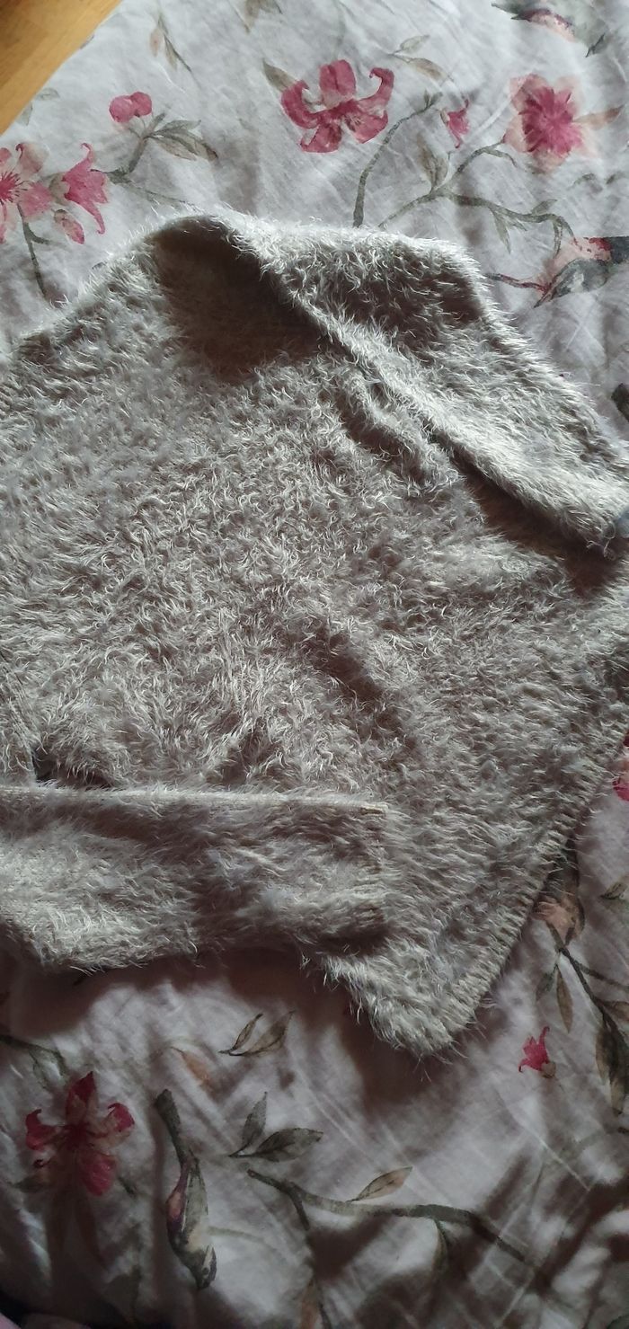 Pull moumoute - photo numéro 3