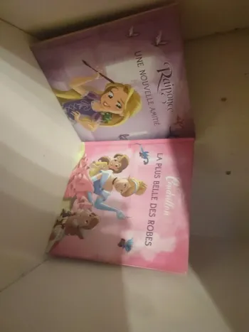 Lot 2 livres princesse Disney