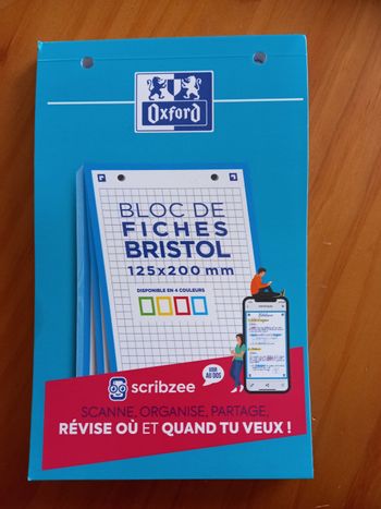 Bloc 30 fiches Bristol bords bleus 125x200mm Neuf