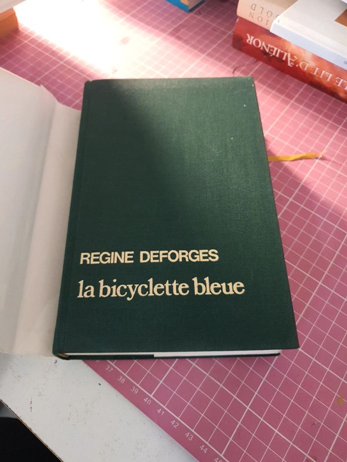 la bicyclette bleue - photo numéro 2