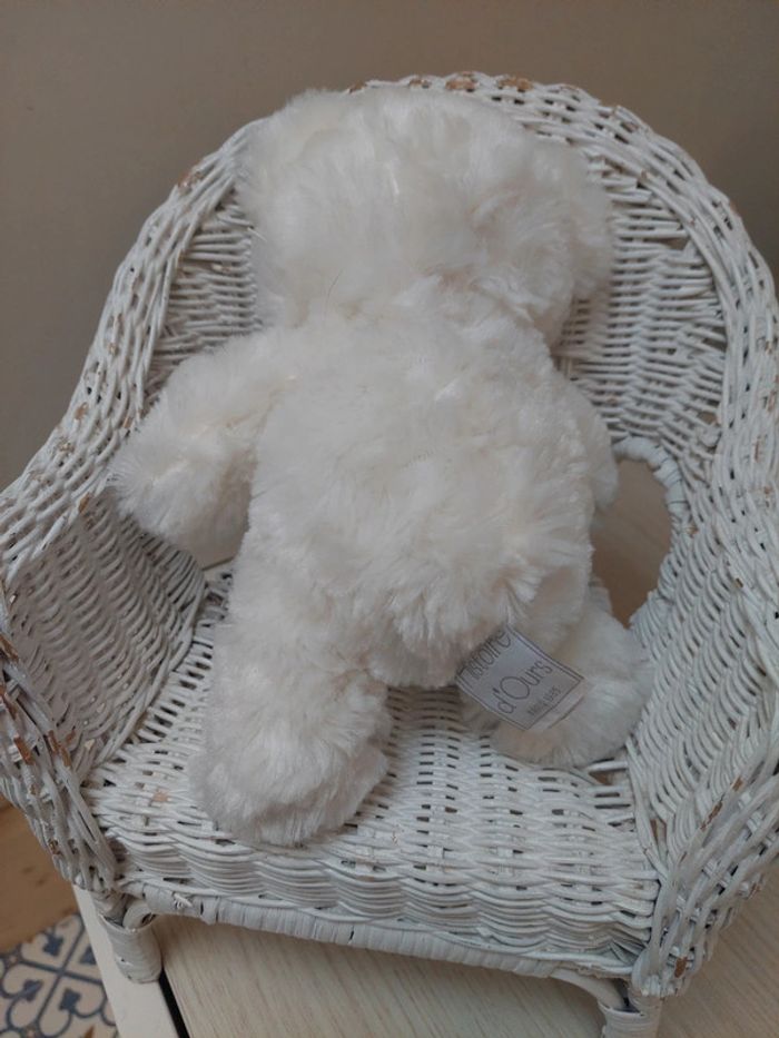 Histoire d'ours - peluche ourson blanc calins - photo numéro 3