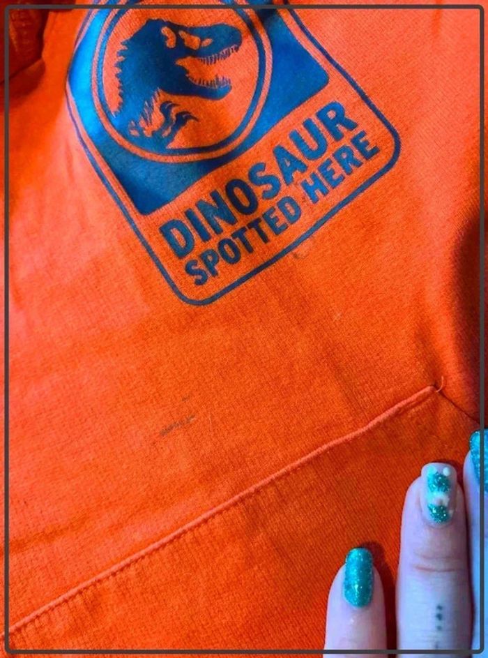 Pull  jurassic world 6ans - photo numéro 4