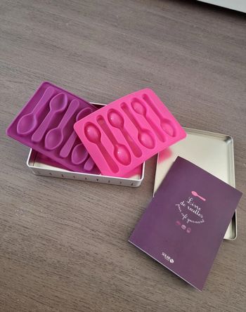 Livre recette cuillère croquer