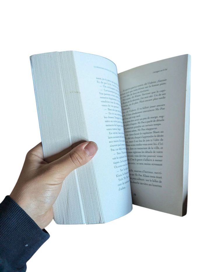 Les désastreuses aventures des orphelins Baudelaire, Lemony Snicket, tome 1 - photo numéro 4