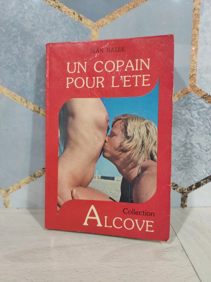 Livre poche érotique Un copain pour l'été Nalek collection Alcove adultes public averti