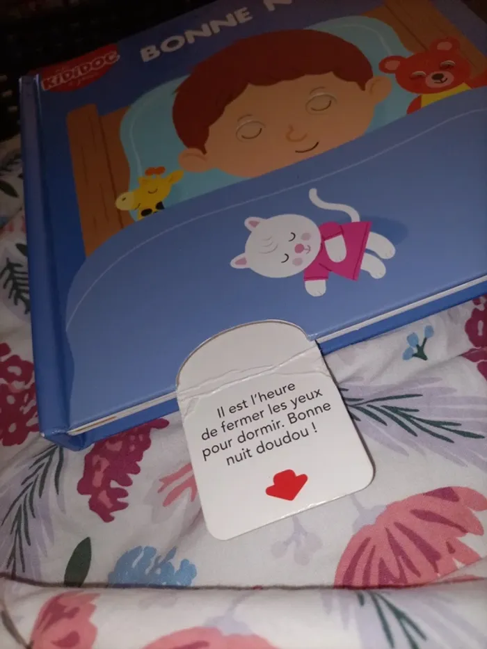 Livre Kididoc : Bonne nuit ! - photo numéro 13