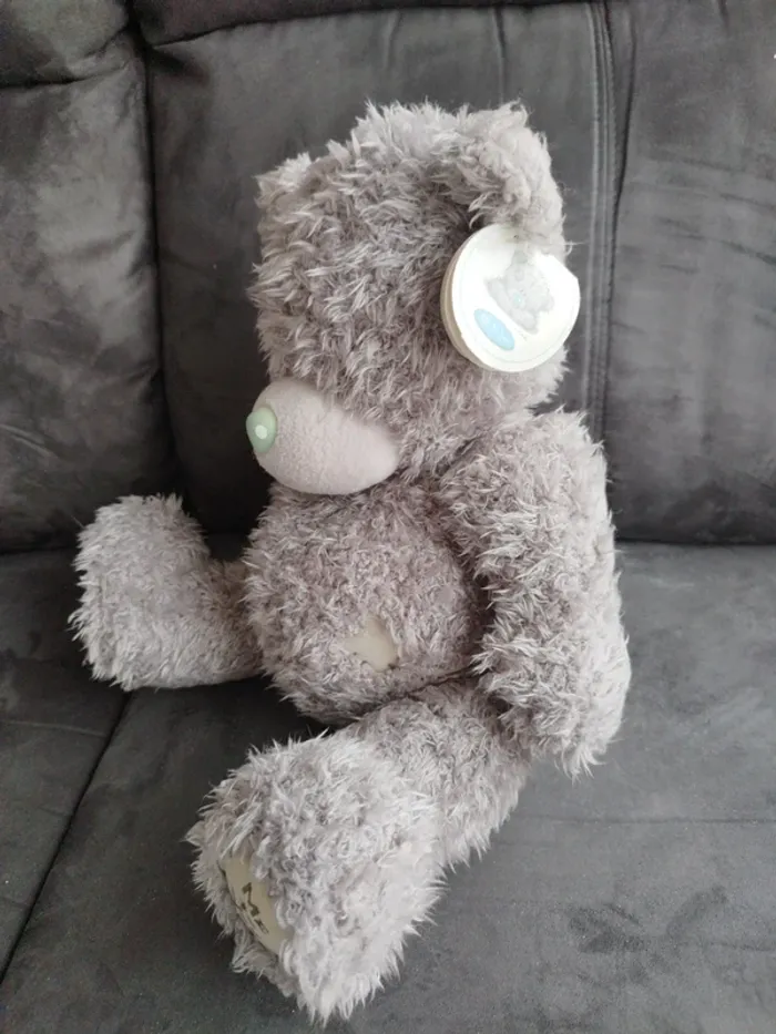 Peluche me to you - photo numéro 5
