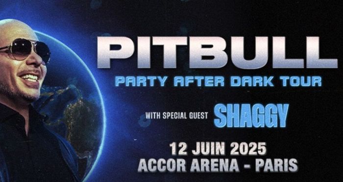 Billet / Ticket de concert PITBULL - ACCOR ARENA