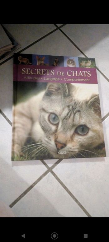 Grand livre Secrets de chats