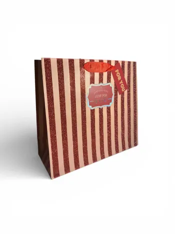 Sac cadeau Mikirei rouge et beige « Un cadeau spécial, rien que pour vous » 30 x 27 x 12 cm Neuf