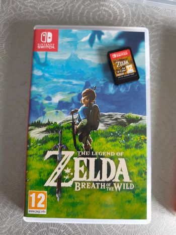 Zelda breath of the Wild 