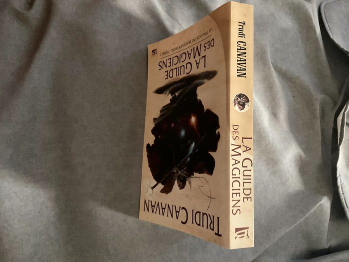 #la guilde des magiciens Trudi Canavan - photo numéro 4