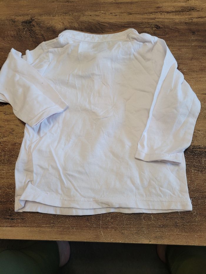 Polos - photo numéro 3