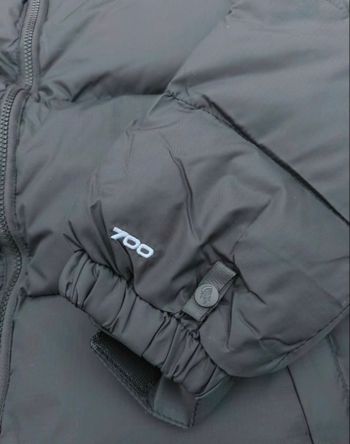 Veste the north face 700
