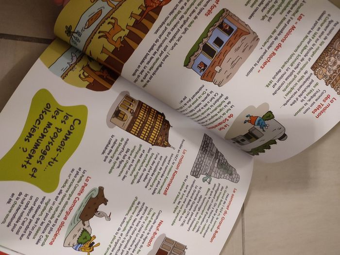 Chasse aux monstres en alsace - photo numéro 4