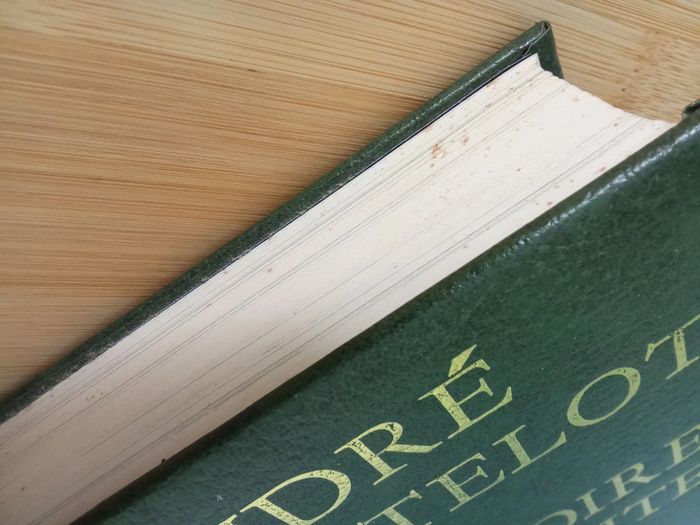 André Castelot 🫧 L'histoire insolite - photo numéro 5