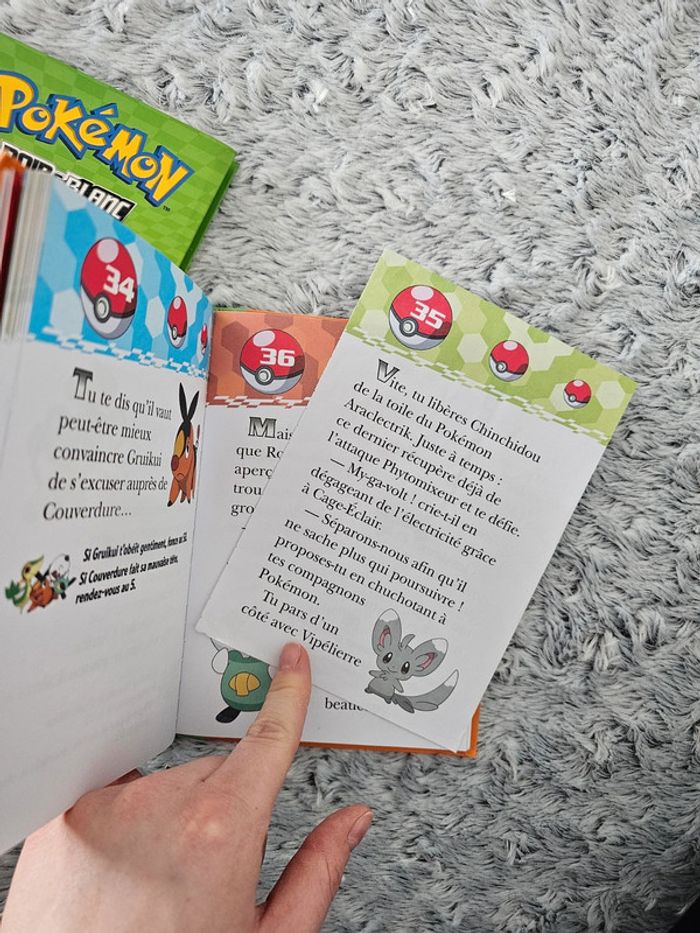 Livres pokémon - photo numéro 3