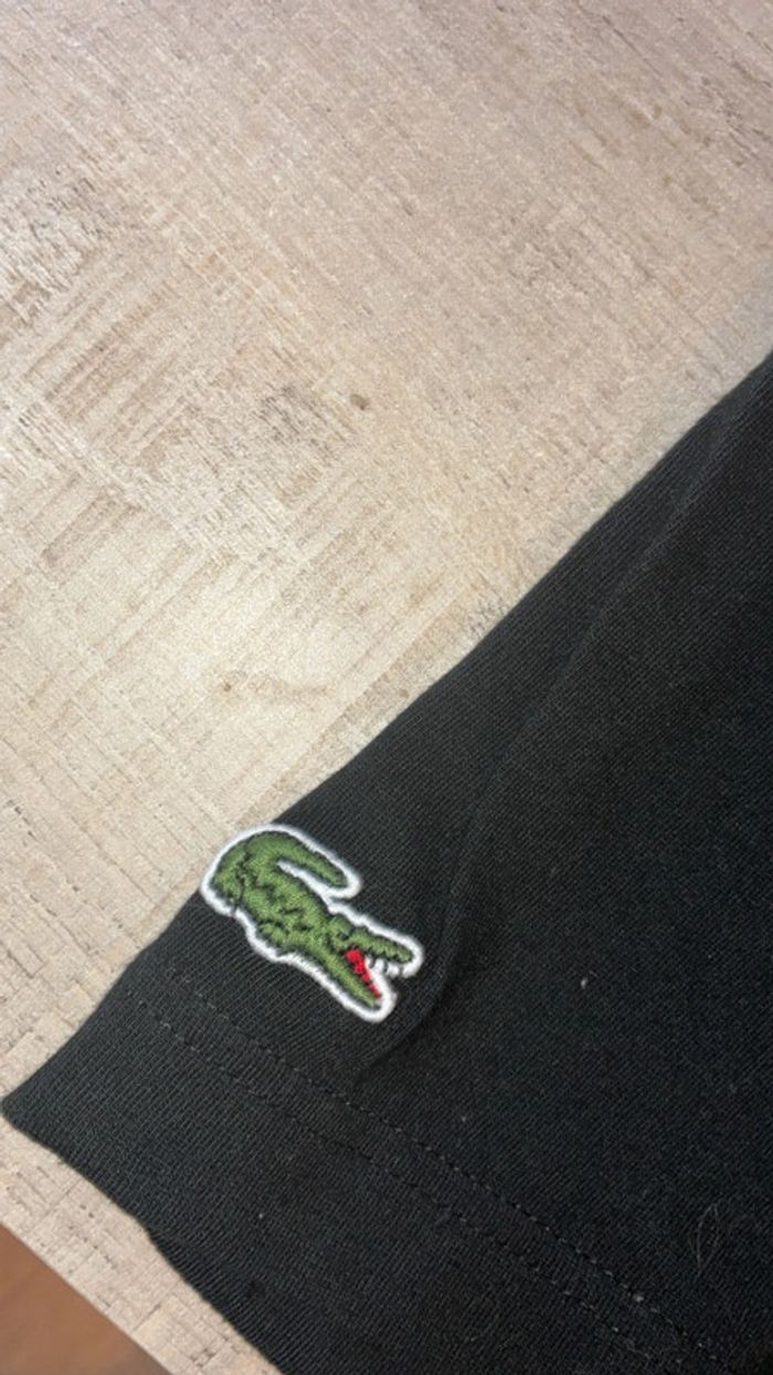 T-shirt Lacoste - photo numéro 3