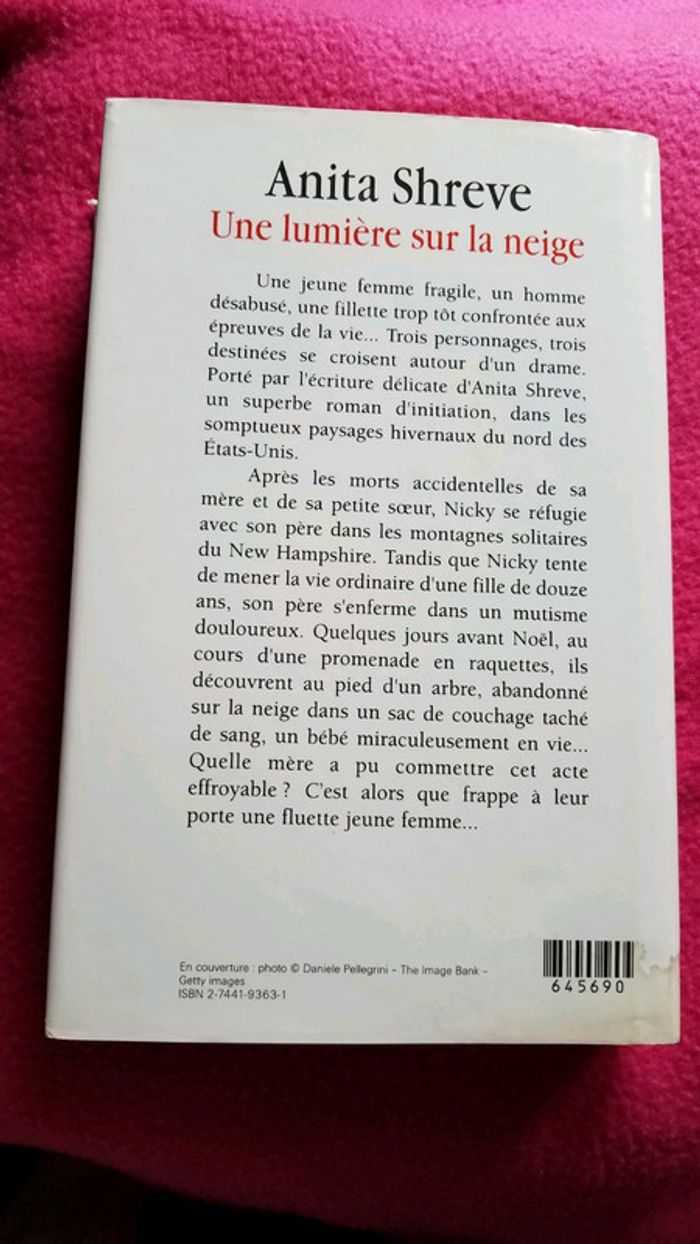 Une lumière sur la neige - photo numéro 2