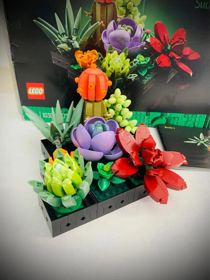 LEGO Icons 10309 - Les Succulents - Complet avec Boîte - photo numéro 2