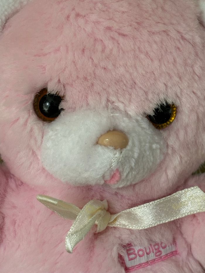 Ours Boulgom - photo numéro 3