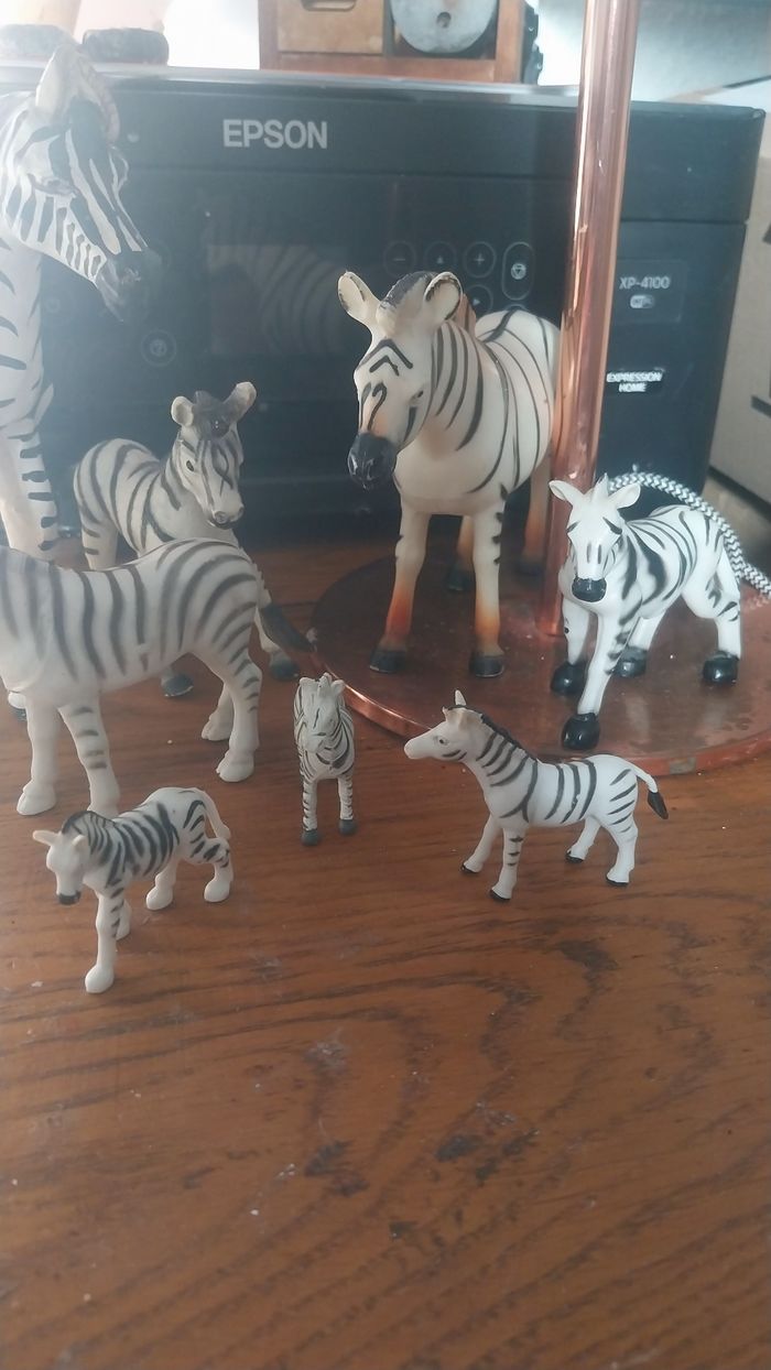 Lot zèbres - photo numéro 2