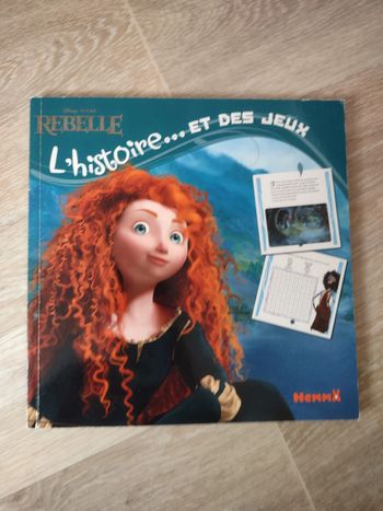 Livre Rebelle L'histoire et des jeux