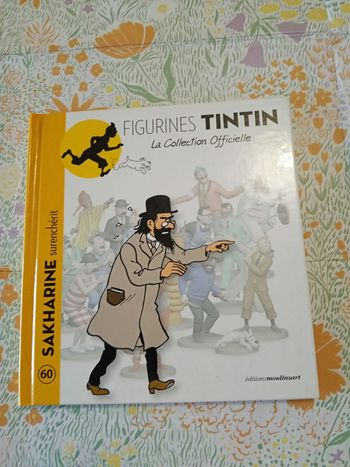 Livre tintin 