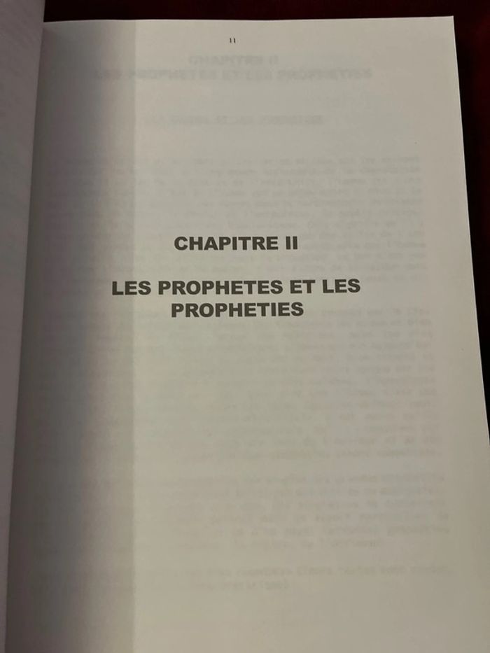 Introuvable sur Vinted et épuisé en librairie ! Livre ésotérique - photo numéro 6