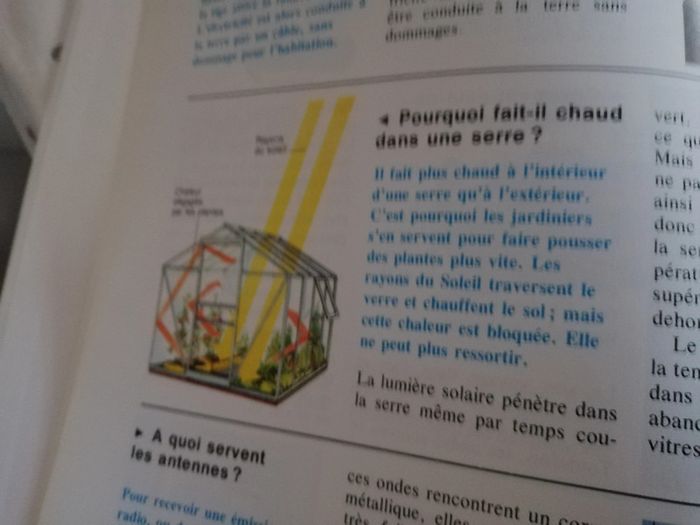 Dis, comment ça marche - photo numéro 2