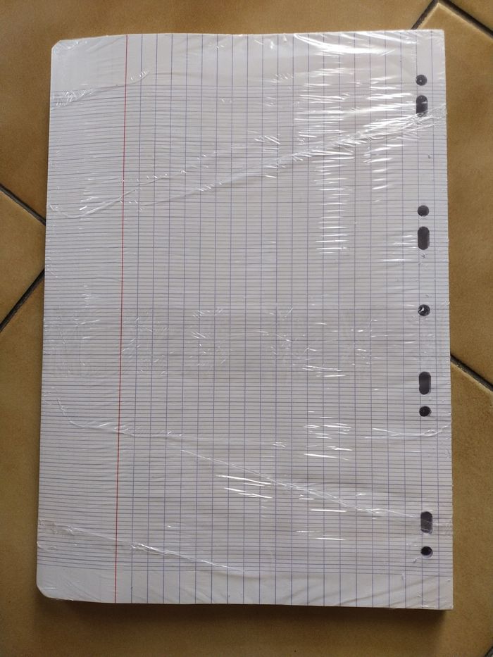 200 feuilles simples mobiles - photo numéro 2