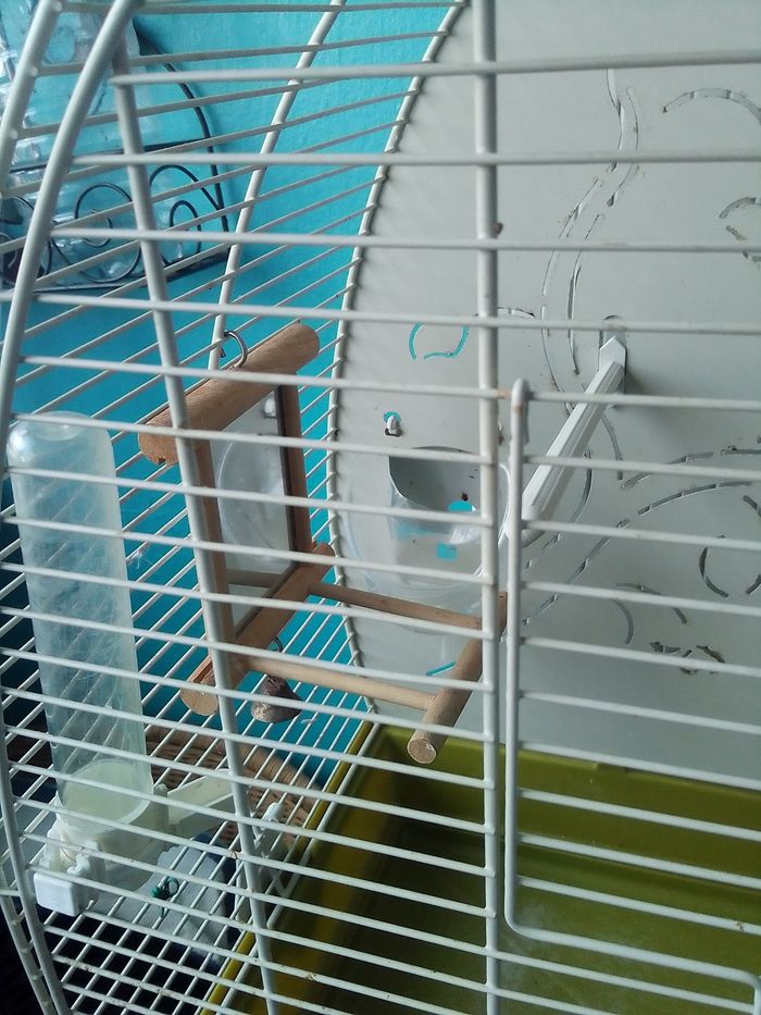 Cage à oiseaux ARABESQUE ZOLUX - photo numéro 5