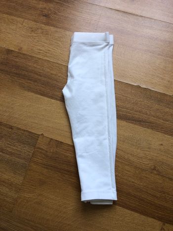 Legging court 