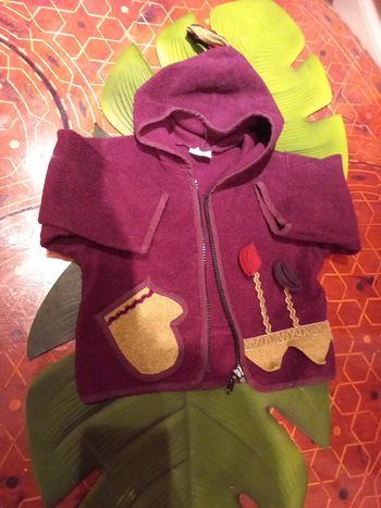 Pull polaire a capuche de fee