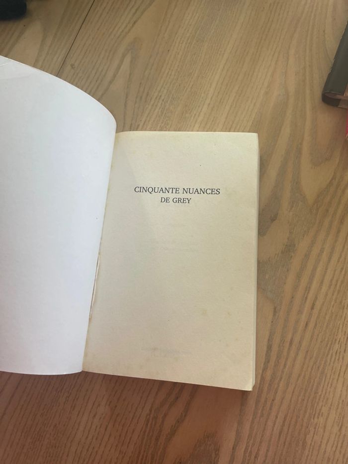 Livre 50 nuances de grey - photo numéro 2