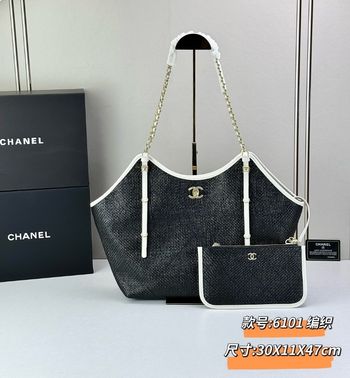 Chaṇel  25bag 6101