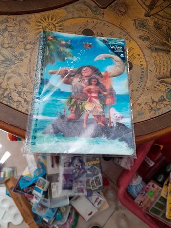 Cahier neuf