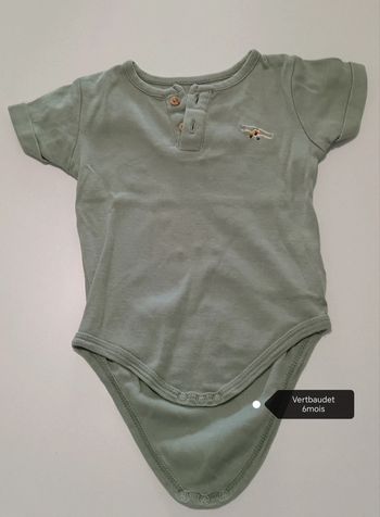 Lot 3 bodies