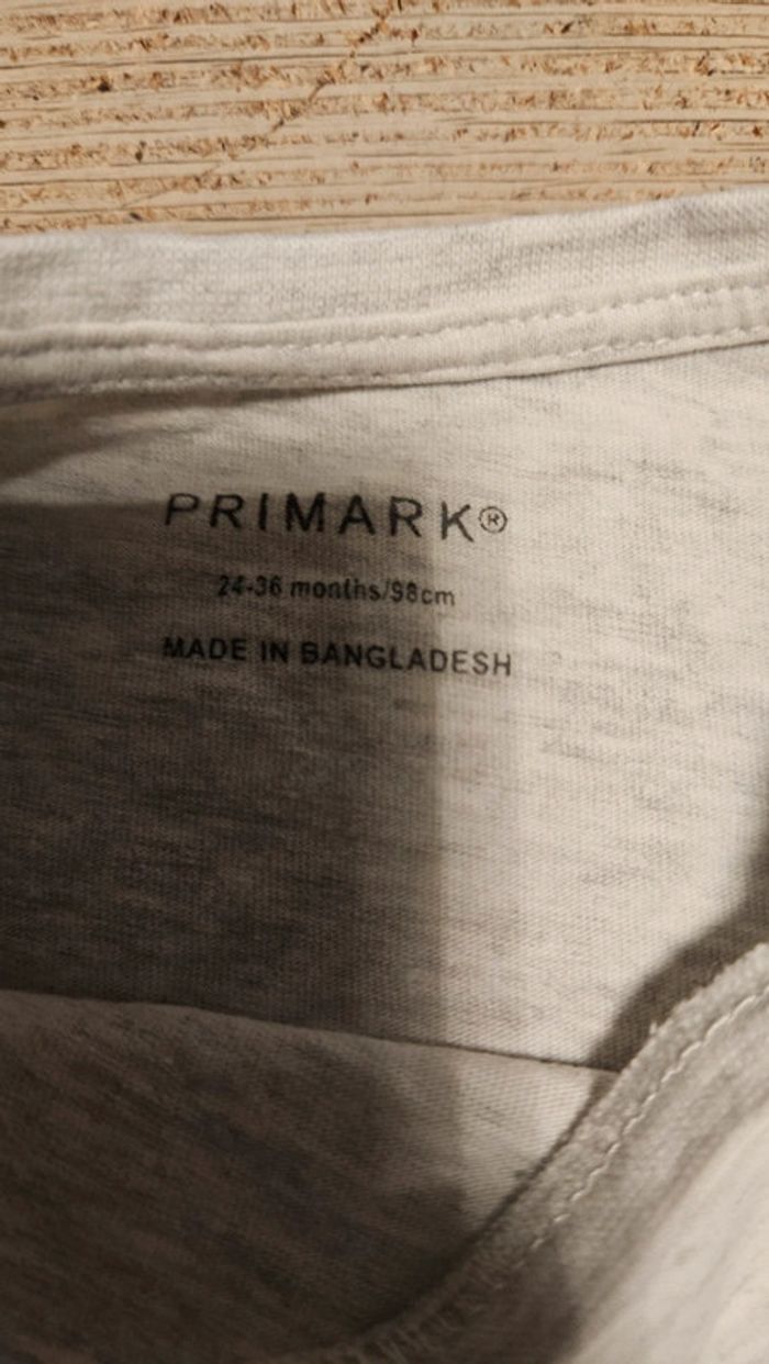 T shirt gris clair, manches longues, avec lapin, Primark, 2/3 ans - photo numéro 5