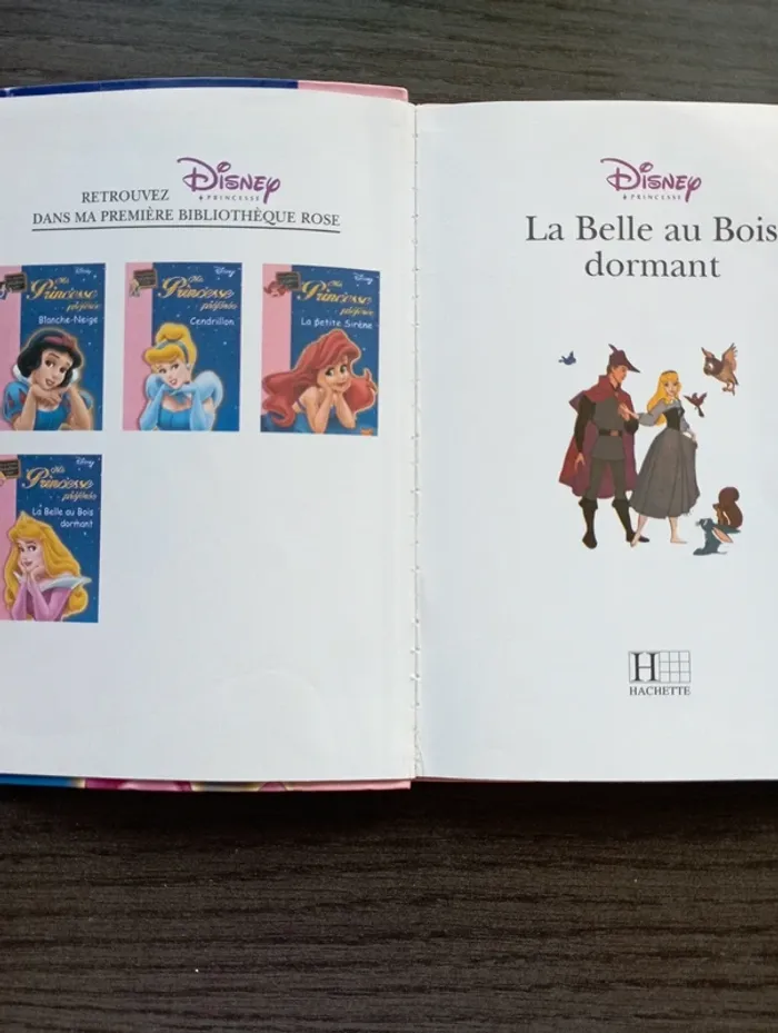 La belle au bois dormant. - photo numéro 3