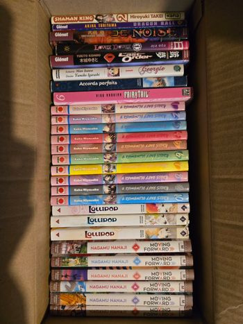 Lot 27 mangas