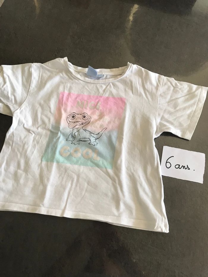 Tee-shirts reine des neige ( feu)