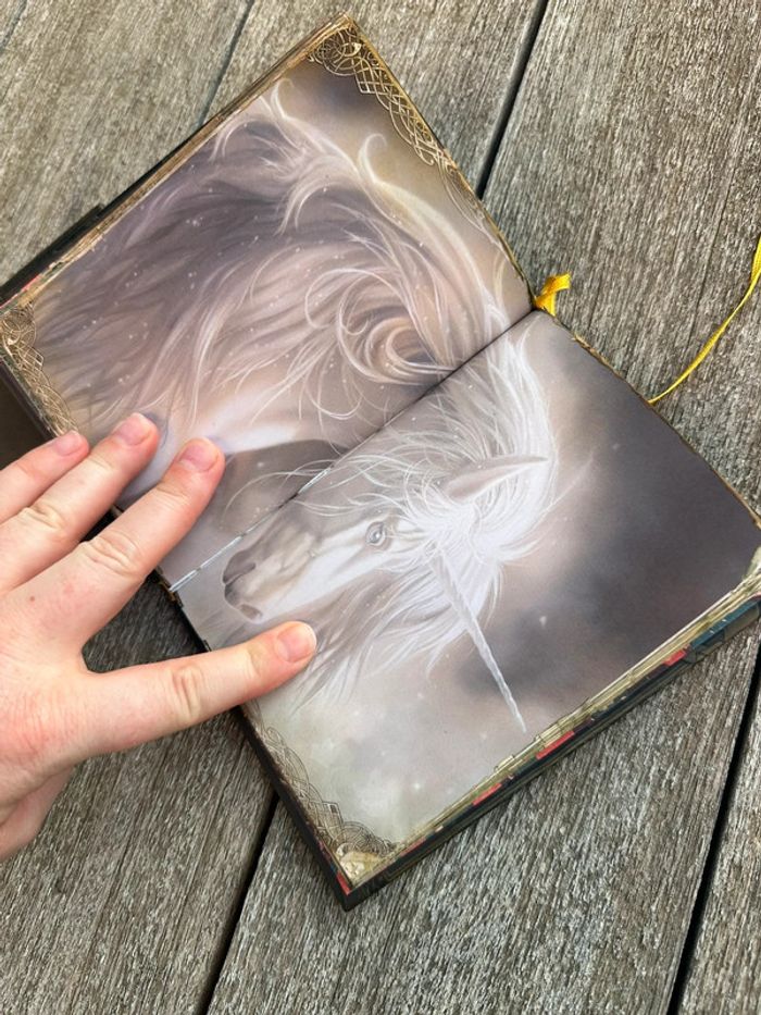 Lot de 2 livres petit grimoire - photo numéro 5