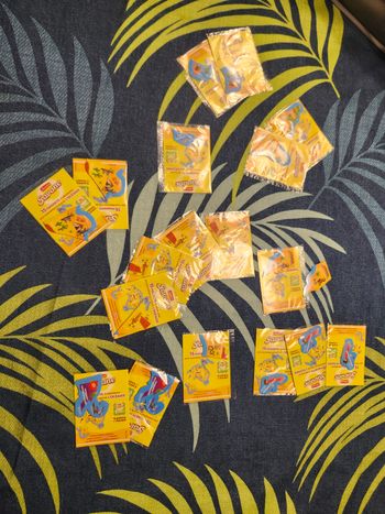Lot 19 magnets collection savane carte Océanie