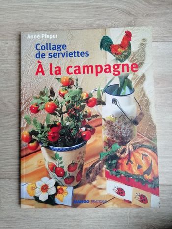 Livre Collage de serviettes en bon état