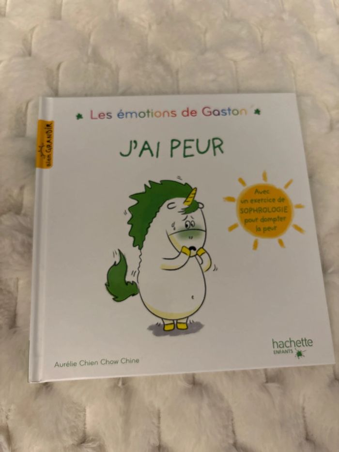 Livre les émotions de Gaston
