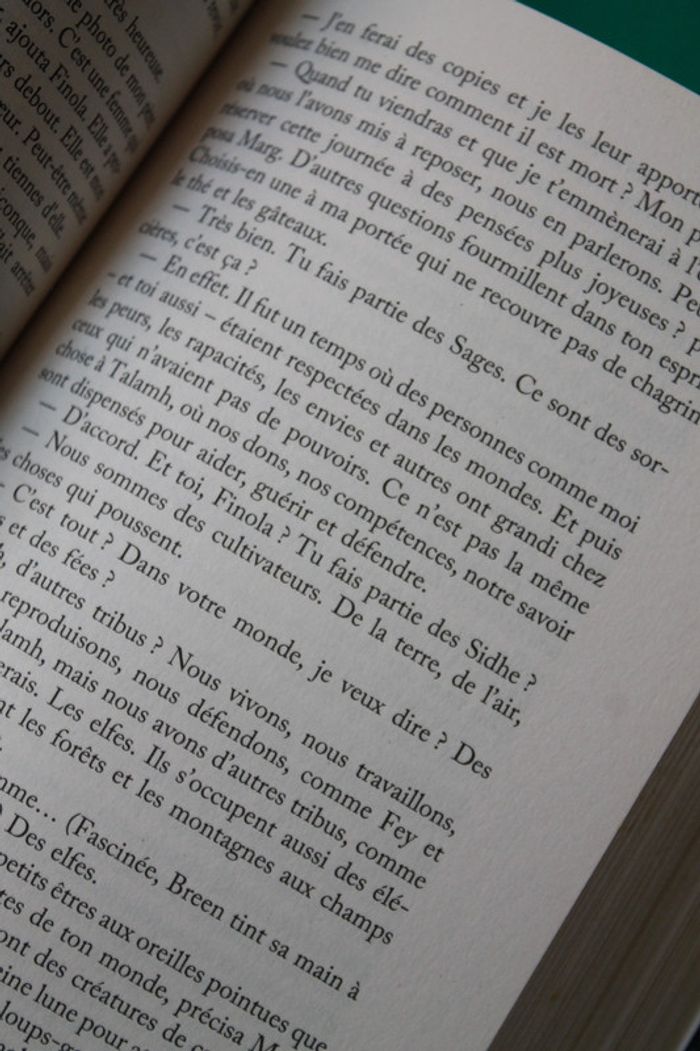 Songes d'Irlande 1 Nora Roberts - photo numéro 4
