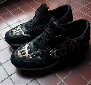 Baskets Morgan léopard