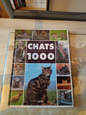 Livre Les chats en 1000 photos